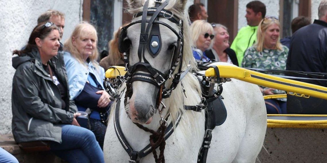 Val-d’Oise : Philippe, 60 ans, collecte les déchets ménagers de sa commune à cheval