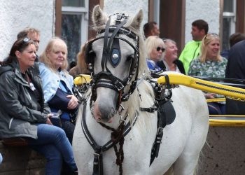 Val-d’Oise : Philippe, 60 ans, collecte les déchets ménagers de sa commune à cheval