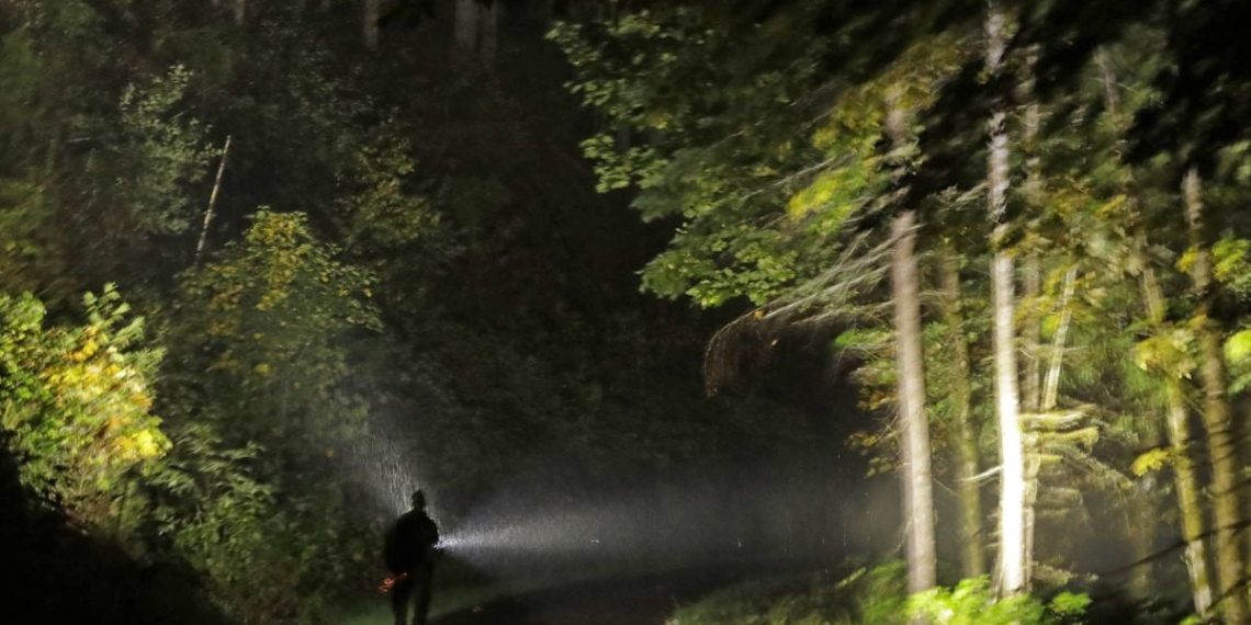 Deux-Sèvres : Un octogénaire parti cueillir des champignons disparaît durant plusieurs heures en forêt