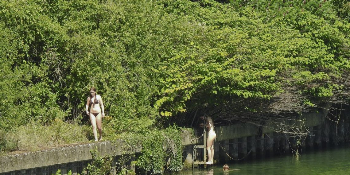 Val-de-Marne : La Mairie et les habitants s’opposent à un projet d’aménagement dans la Marne pour la baignade