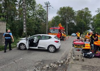 Ariège : Deux blessés dans un accident de voiture à cause d’un insecte