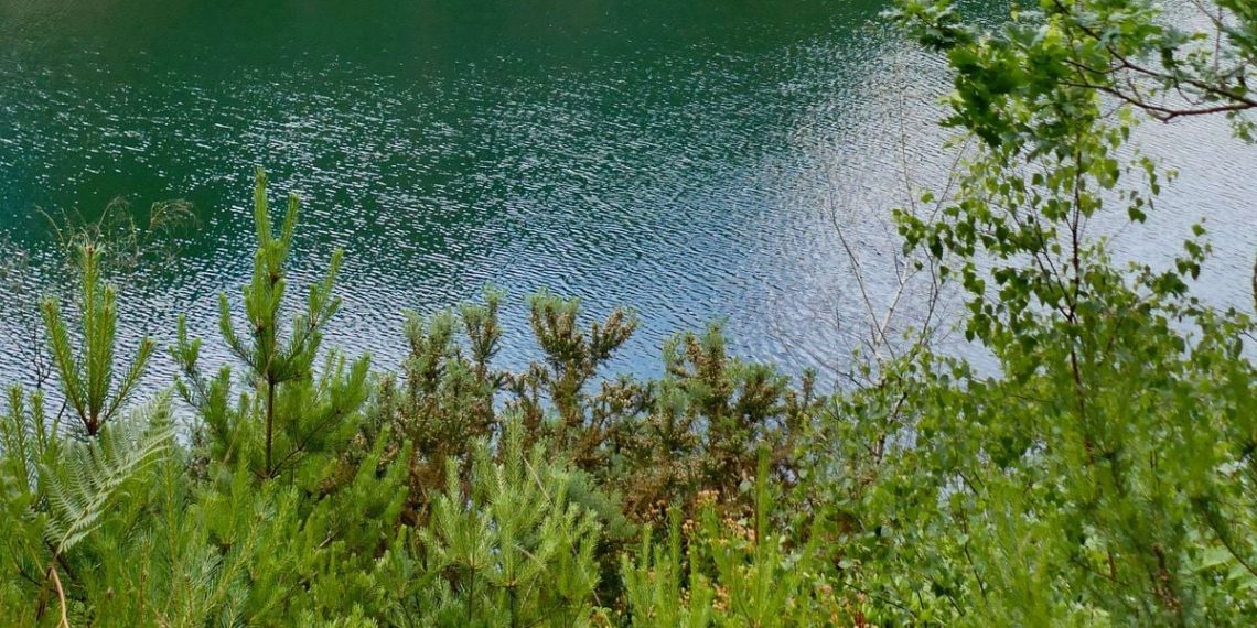 Pyrénées-Atlantiques : La vidange d’un lac à Pau provoque de fortes odeurs