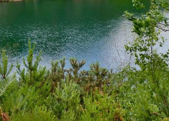Pyrénées-Atlantiques : La vidange d’un lac à Pau provoque de fortes odeurs
