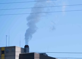 Val-de-Marne : Près de l’incinérateur d’Ivry, les écoles seraient polluées