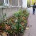 Nantes : La grille d’aération cède sur le trottoir, une femme fait une chute de deux mètres