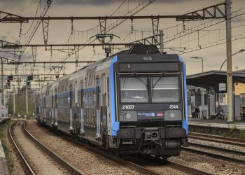 Paris : La laisse de son chien se coince dans les portes d’un RER, une femme perd plusieurs doigts