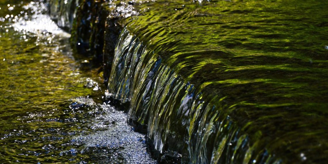 Dordogne : Une jeune femme appelle les secours pensant voir un crâne dans une rivière, c’était un masque d’Halloween