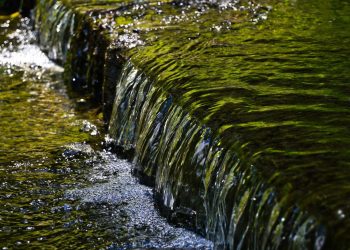 Dordogne : Une jeune femme appelle les secours pensant voir un crâne dans une rivière, c’était un masque d’Halloween