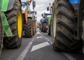 «C’est une trahison» : pourquoi les agriculteurs se mobilisent-ils ce vendredi ?