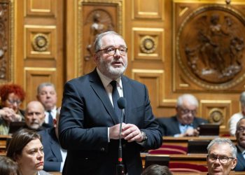 Rachid Temal, sénateur PS du Val-d’Oise : «Sans les socialistes, le Premier ministre ne tiendra pas»