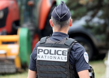 «Il priait devant les pigeons avant de les égorger» : un homme interpellé en Seine-Saint-Denis pour des actes barbares contre des animaux