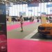 Salon de l’auto à Lyon : les Français plébiscitent un retour à la simplicité pour leurs voitures