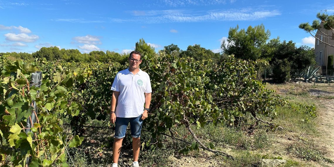 Viticulteurs en colère : précarité, suradministration et mobilisations à venir dans l’Hérault