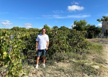 Viticulteurs en colère : précarité, suradministration et mobilisations à venir dans l’Hérault