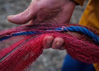 Guerre en Ukraine : des anciens filets de pêche du Finistère reconvertis en filets anti-drones