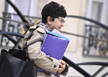 WWF au gouvernement : l’écologie radicale reprend les commandes