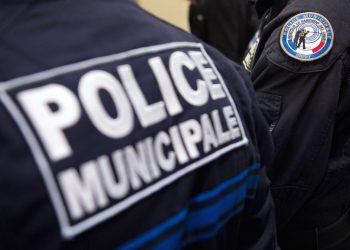 Marseille : des policiers sauvent un chien enfermé dans une voiture pendant une semaine