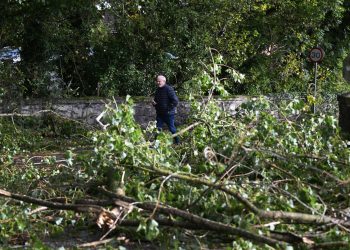 Tempête Amy : deux morts, l’un en Seine-Maritime et l’autre dans l’Aisne
