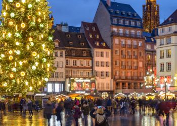 «Ça fait partie de notre culture» : le sapin du célèbre marché de Noël de Strasbourg trône place Kléber