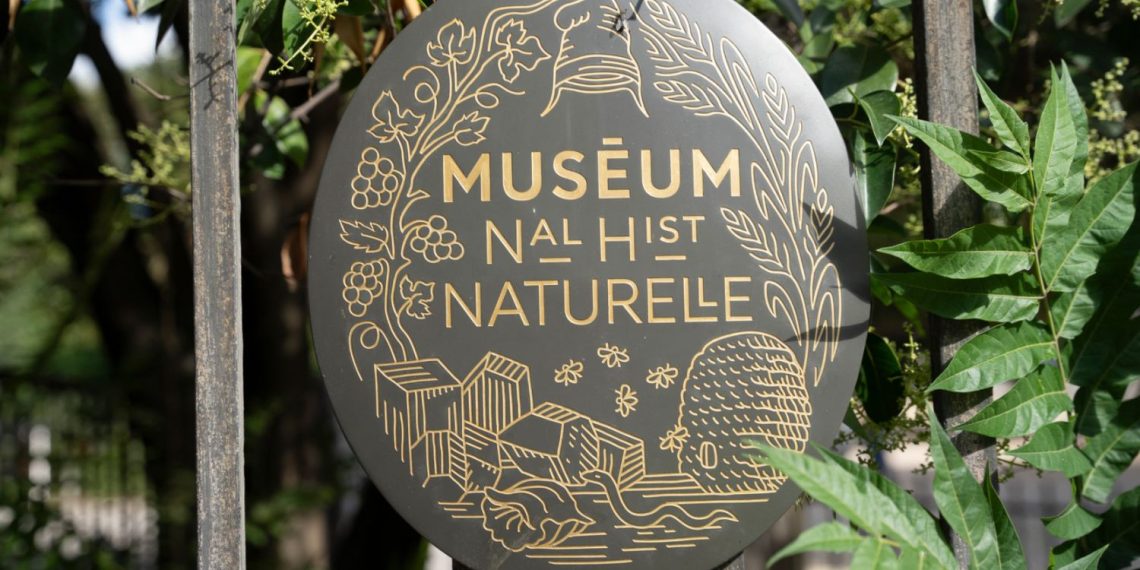 Vol au Muséum d’histoire naturelle à Paris : une femme mise en examen et placée en détention provisoire