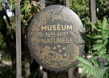 Vol au Muséum d’histoire naturelle à Paris : une femme mise en examen et placée en détention provisoire
