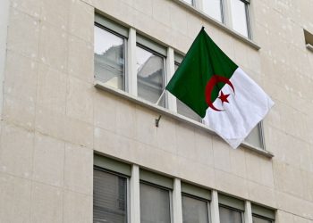 SONDAGE – 76% des Français veulent stopper les visas pour l’Algérie tant que le pays refuse les expulsés