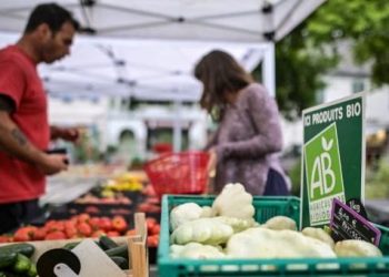 Produits importés, pas assez d’aides : la chute du bio, symbole de la crise agricole française