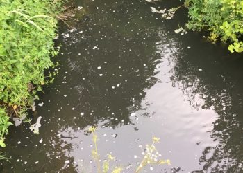 Deux-Sèvres : Alerte à la pollution au fioul dans un cours d’eau près de Thouars
