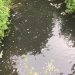 Deux-Sèvres : Alerte à la pollution au fioul dans un cours d’eau près de Thouars