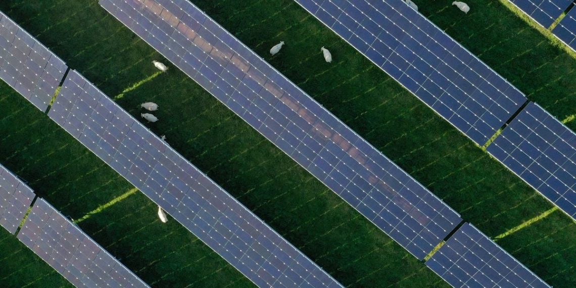 Charente-Maritime : Le parc photovoltaïque d’un village va alimenter le réseau SNCF