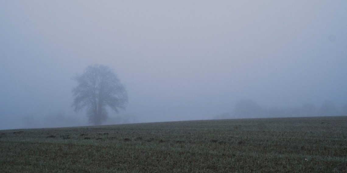 Aveyron : Un jeune homme retrouvé mort dans le brouillard, près de son véhicule accidenté