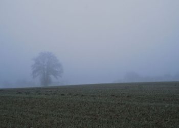 Aveyron : Un jeune homme retrouvé mort dans le brouillard, près de son véhicule accidenté