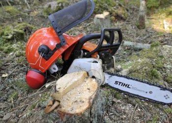 Aveyron : Un élagueur de 18 ans en urgence absolue après la chute d’un arbre