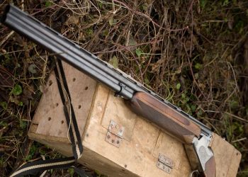 Loiret : Un promeneur repère une caisse remplie d’armes à feu au fond d’un étang