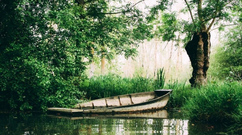 Deux-Sèvres : Deux quadragénaires portés disparus après être partis en barque sur le marais poitevin