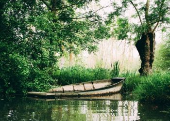 Deux-Sèvres : Deux quadragénaires portés disparus après être partis en barque sur le marais poitevin