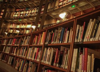 Gers : Des champignons font des ravages sur les étagères de la bibliothèque départementale