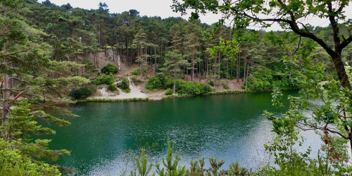 Isère : Le corps d’un septuagénaire repêché dans un lac après sa disparition