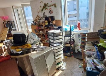 Aude : Plusieurs centaines de chats morts retrouvés dans un appartement