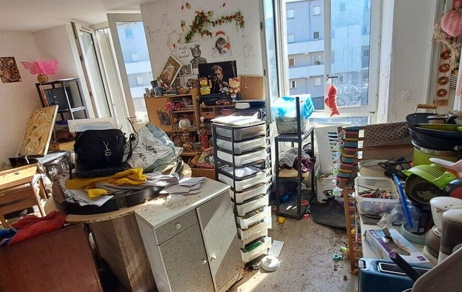 Aude : Plusieurs centaines de chats morts retrouvés dans un appartement