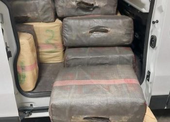 Pyrénées-Atlantiques : Près d’une tonne de cannabis saisie dans un utilitaire volé