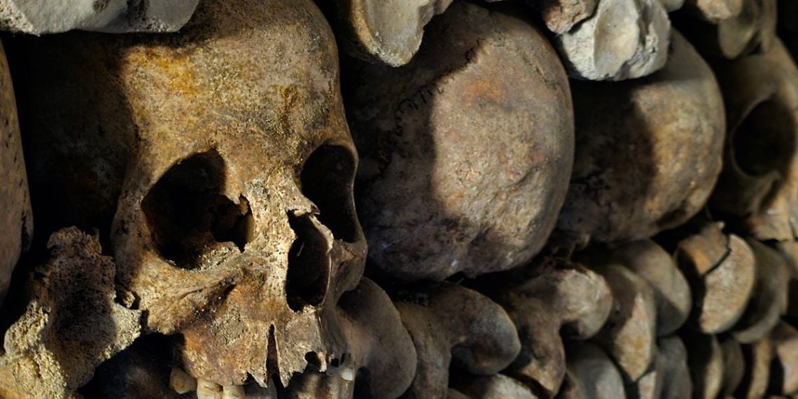 Nord : Il tombe sur un crâne humain en creusant une tombe pour son chat dans un parc