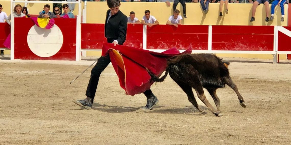 Landes : Une initiation à la tauromachie garantie « sans animal vivant » proposée aux enfants
