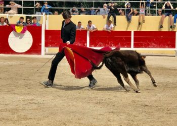 Landes : Une initiation à la tauromachie garantie « sans animal vivant » proposée aux enfants