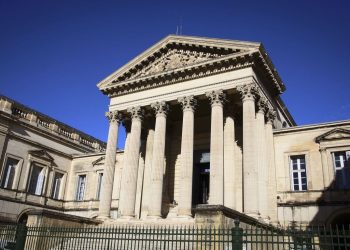 Rouen : Un trentenaire condamné pour saluts nazis et violences envers des policiers