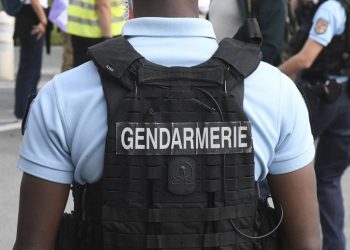 Haute-Garonne : Un chien attaque trois personnes dont une fillette, une voisine le tue à coups de couteau