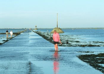 Vendée : Deux pêcheurs pris au piège par la marée au Gois, leur camping-car boit la tasse
