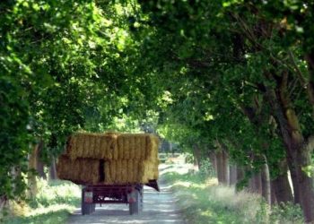 Aveyron : Deux hommes traqués par un agriculteur après avoir volé 20 tonnes de fourrage