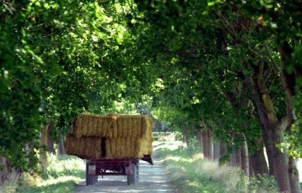 Aveyron : Deux hommes traqués par un agriculteur après avoir volé 20 tonnes de fourrage
