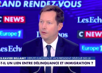 Le lien entre immigration et insécurité «est une réalité», souligne François-Xavier Bellamy